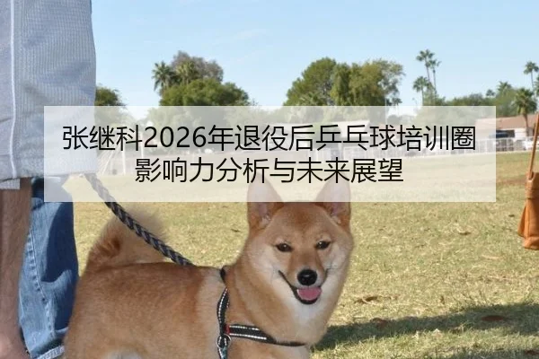 张继科2026年退役后乒乓球培训圈影响力分析与未来展望